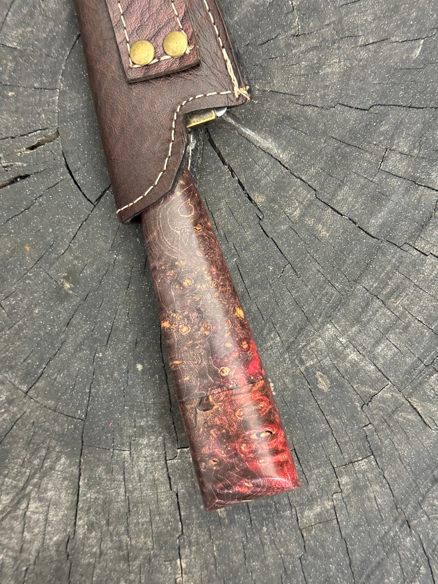 6" Utility Knife, Maple Burl, SS440 - 150mm