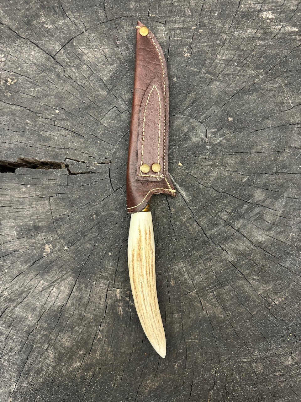 5" Boning Knife, Deer Antler, SS420 - 130mm