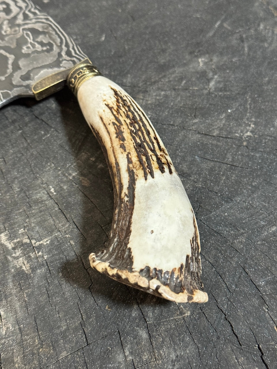 8" Damascus Knife, Deer Antler, CS1095 15n20