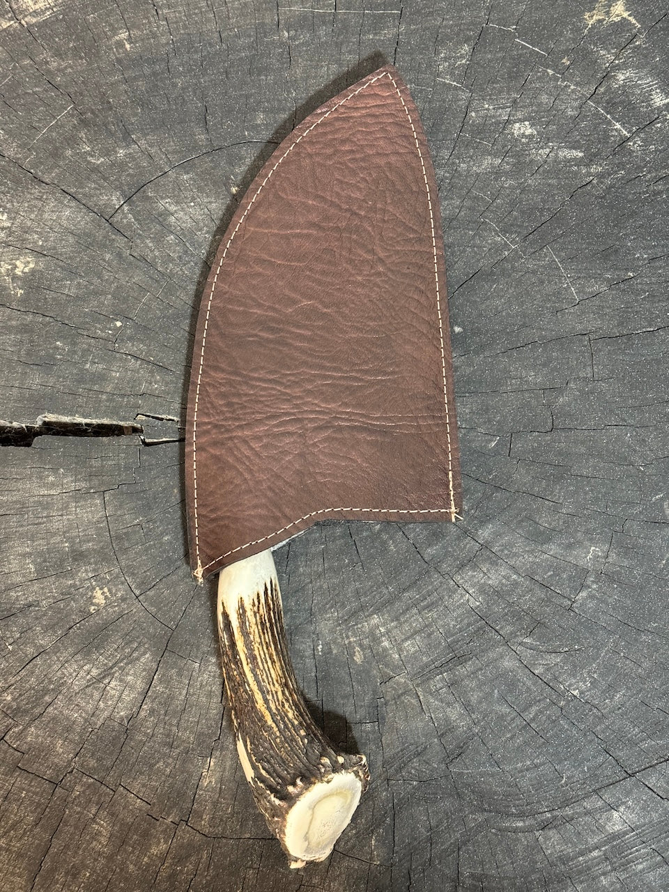 8" Damascus Knife, Deer Antler, CS1095 15n20