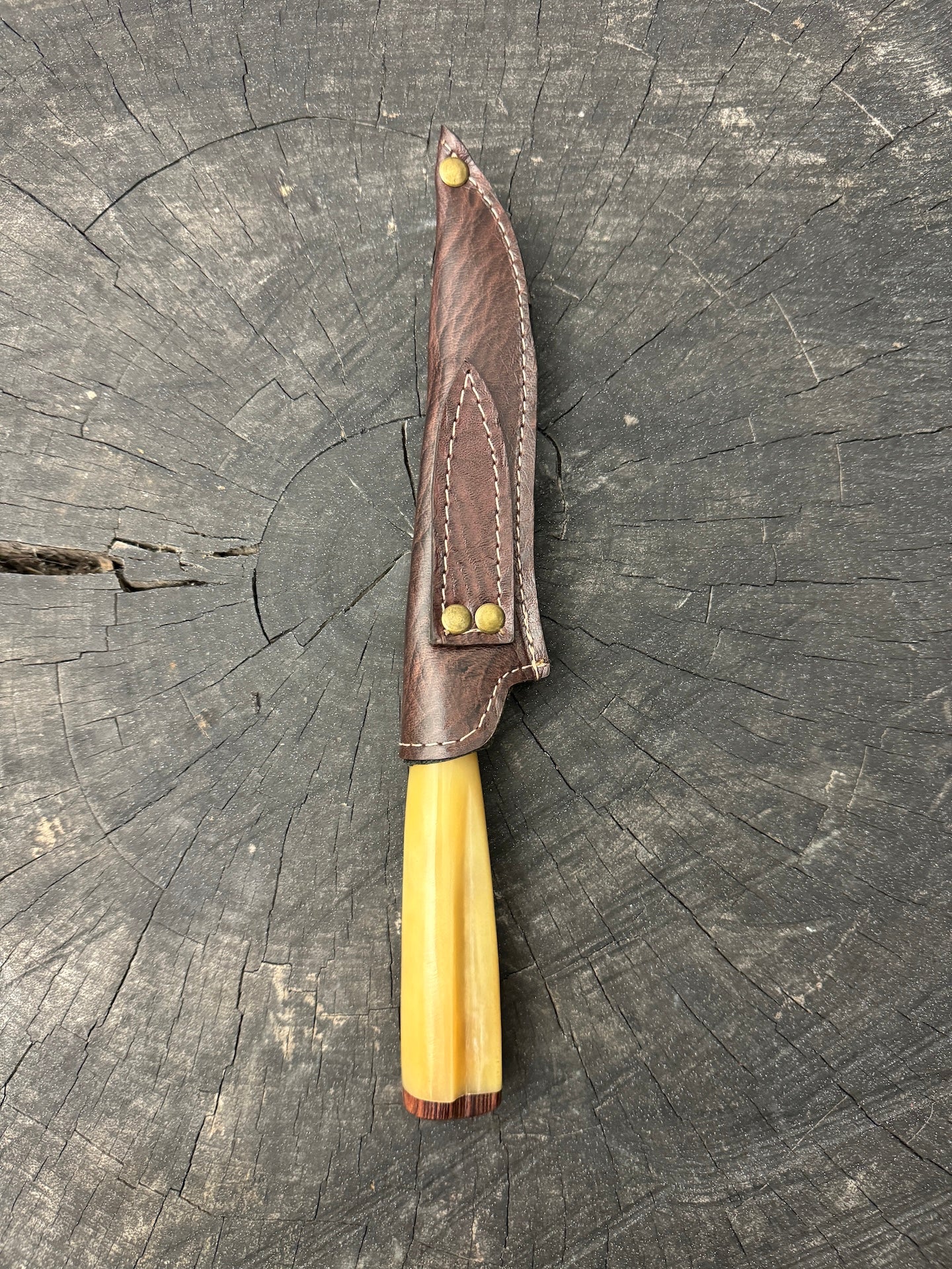 5" Steak Knife, Ostrich Bone, SS440 - 125mm
