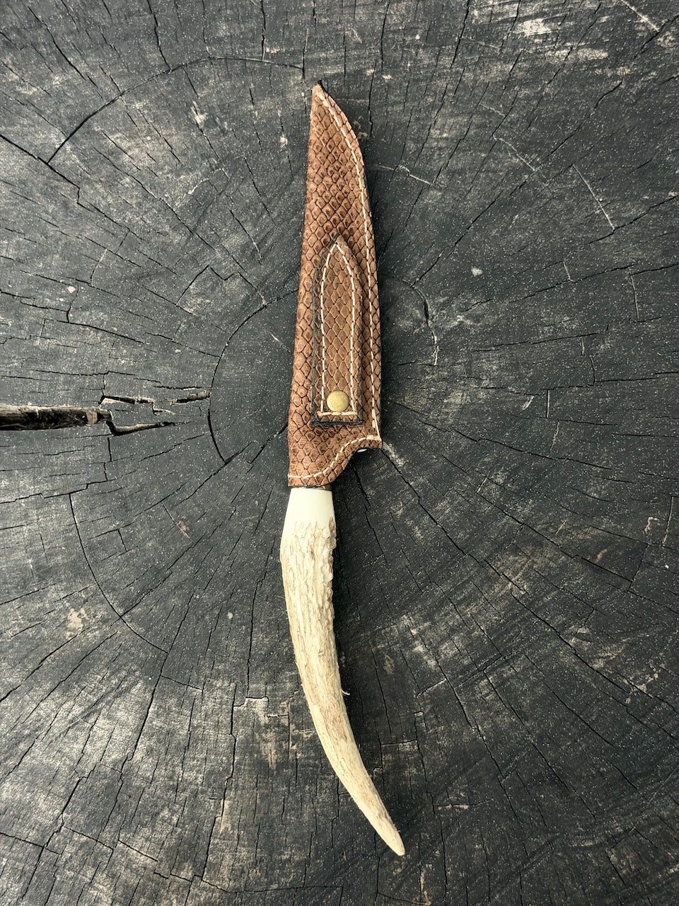 5" Boning Knife, Deer Antler, SS440 - 130mm