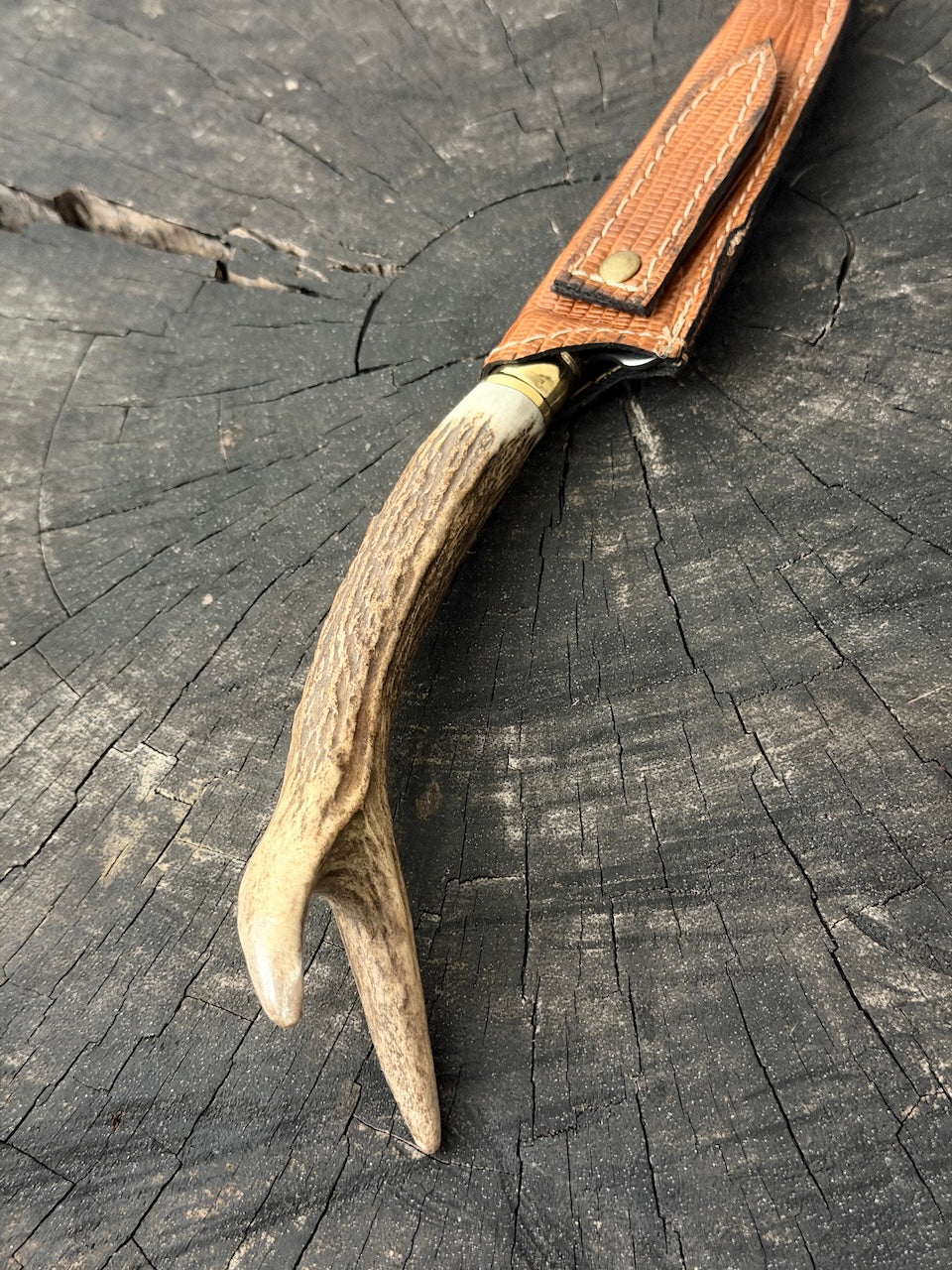 5" Boning Knife, Deer Antler, SS440 - 130mm