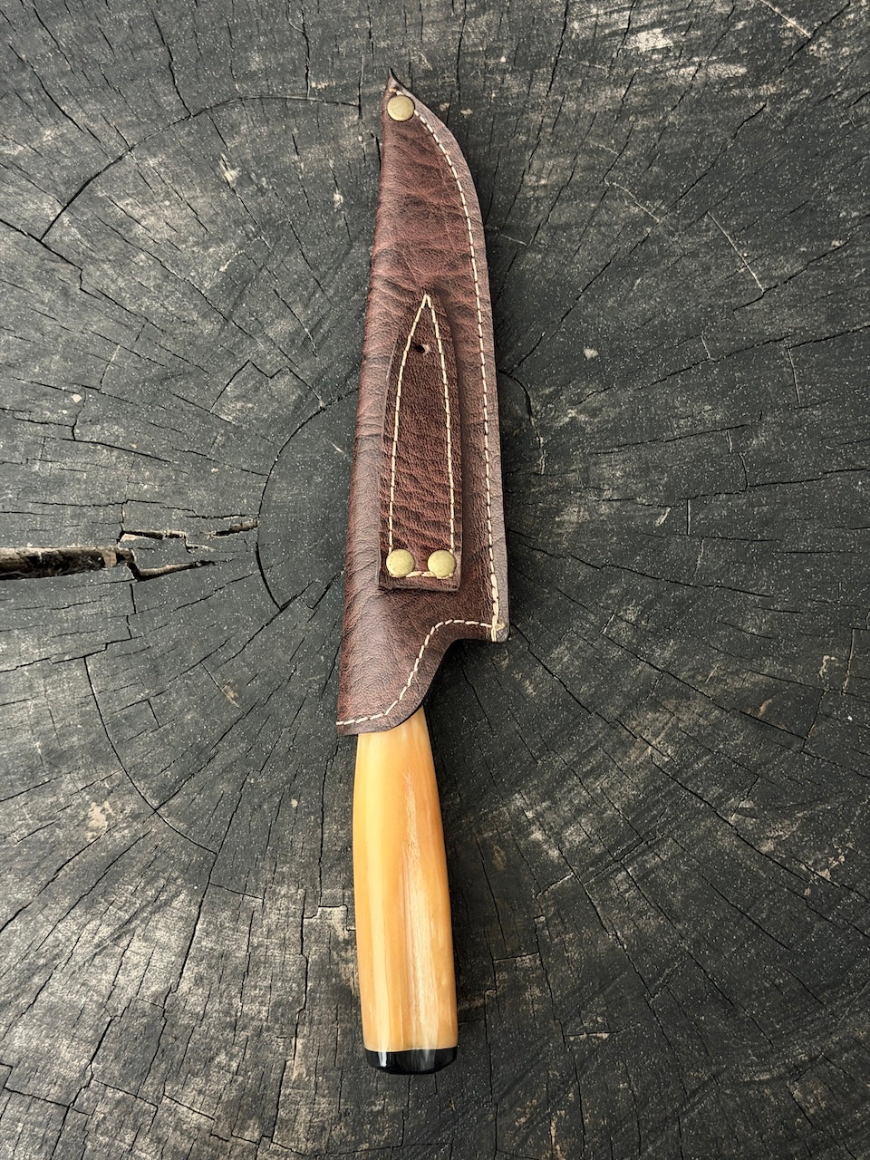 6" Utility Knife, Ostrich Bone, SS440 - 150mm