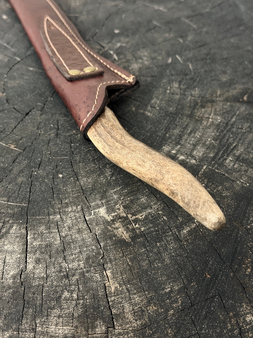 8" Boning Knife, Deer Antler Galheta, SS420 - 200mm