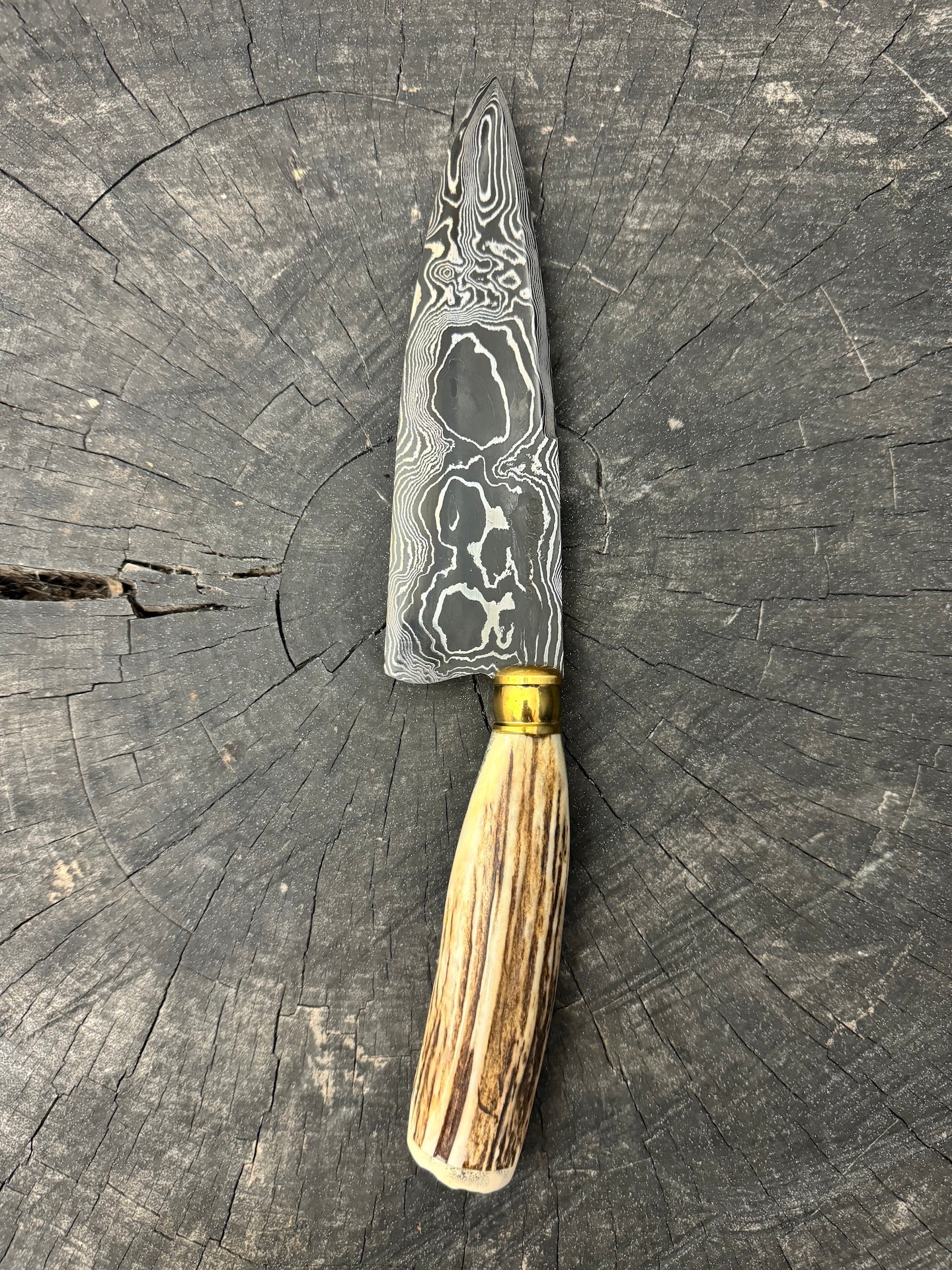 6.5" Damascus Knife, Deer Antler, CS1095 15n20 - 165mm