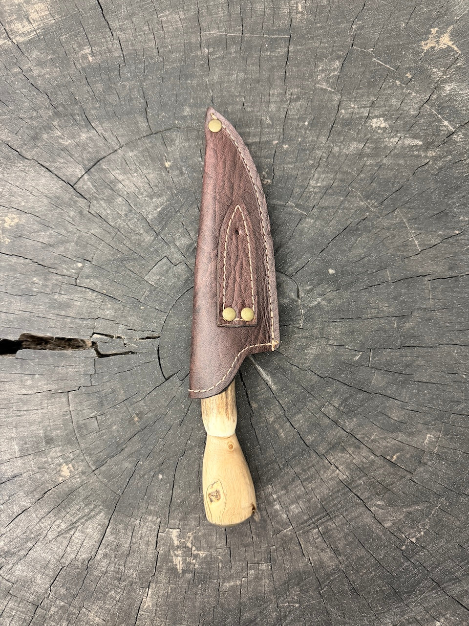 4” Skinner Knife, Deer Antler & Orange Tree - SS420 - 105mm