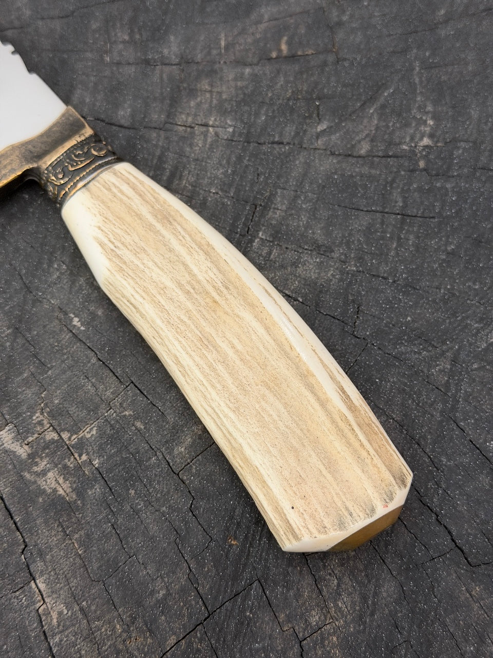 10" Chef Gaucho Knife, Deer Antler, SS440 - 250mm
