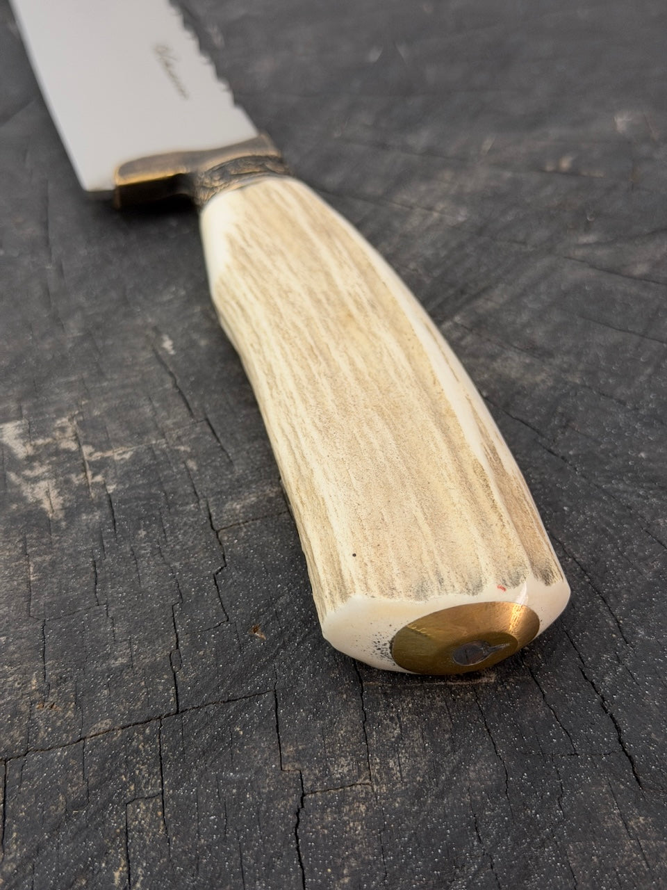 10" Chef Gaucho Knife, Deer Antler, SS440 - 250mm