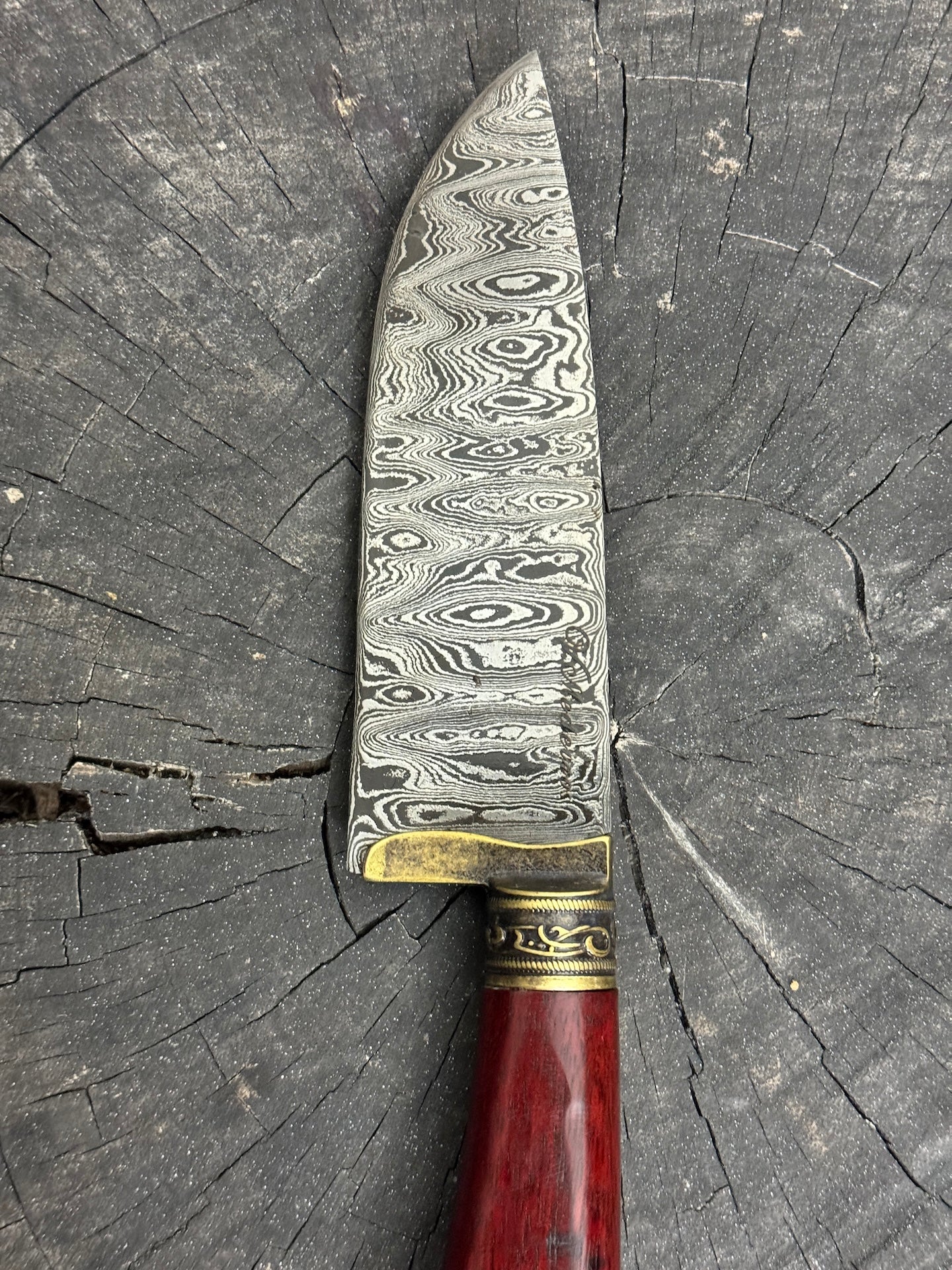 5" Damascus Skinner Knife 120 Layers, Pau Brasil, CS1084 15n20