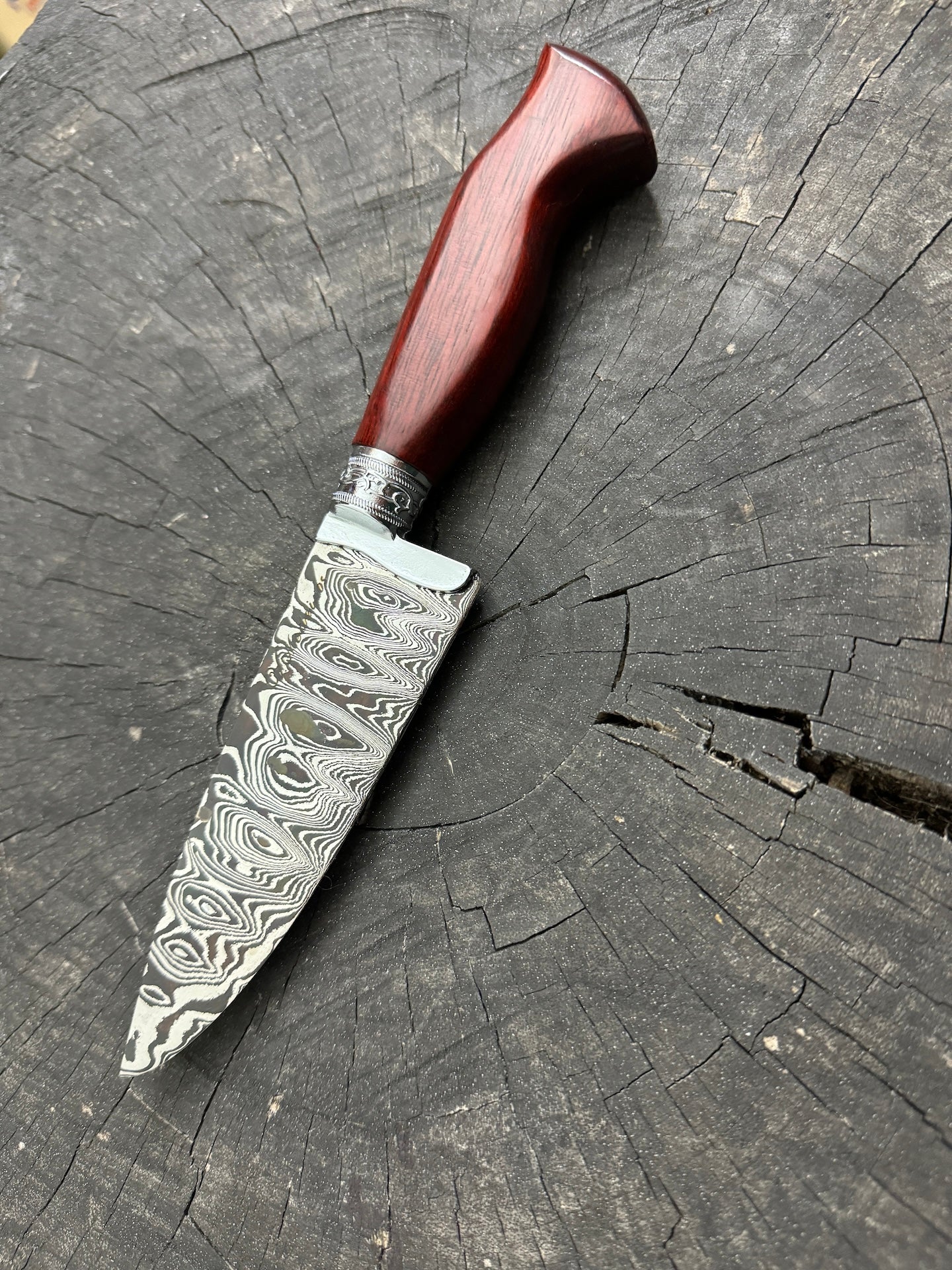 5" Damascus Skinner Knife 120 Layers, Pau Brasil, CS1084 15n20