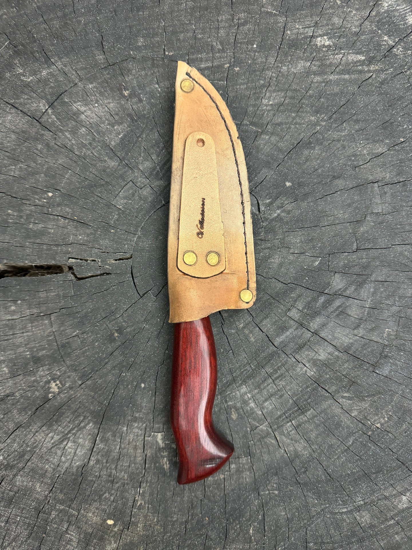 5" Damascus Skinner Knife 120 Layers, Pau Brasil, CS1084 15n20