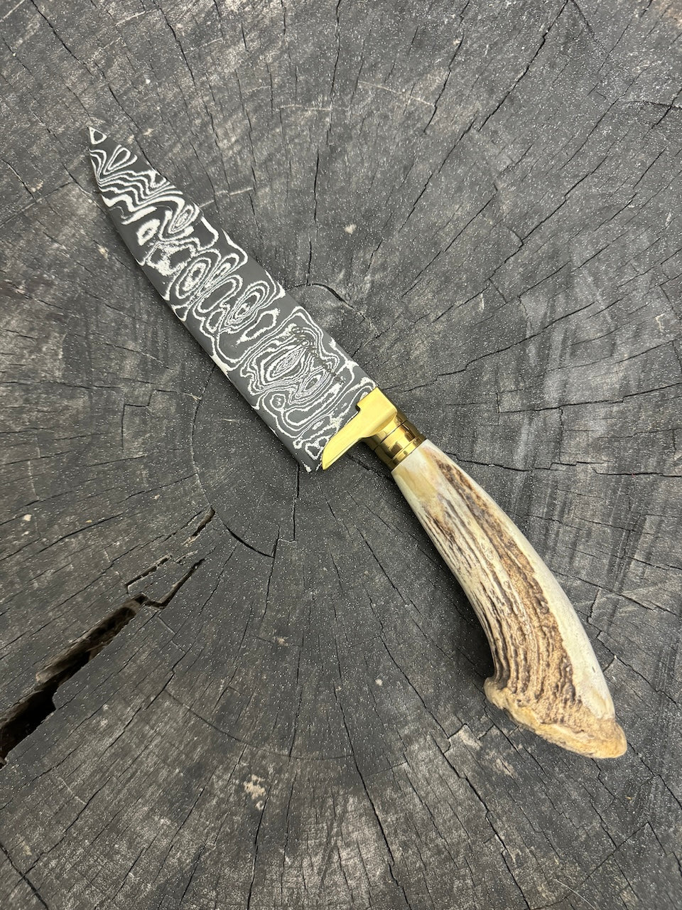 6" Damascus Knife, Deer Antler, CS1095 15n20