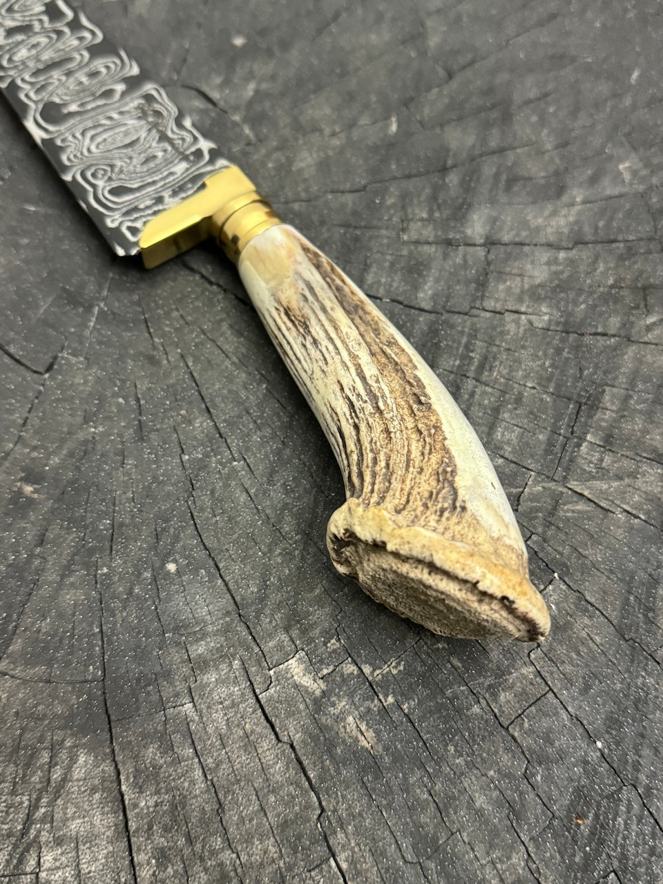 6" Damascus Knife, Deer Antler, CS1095 15n20