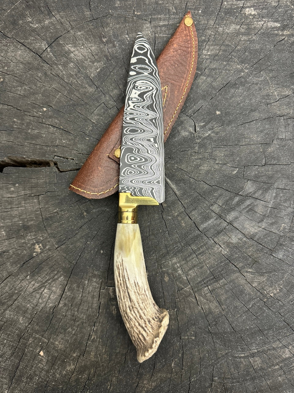 6" Damascus Knife, Deer Antler, CS1095 15n20