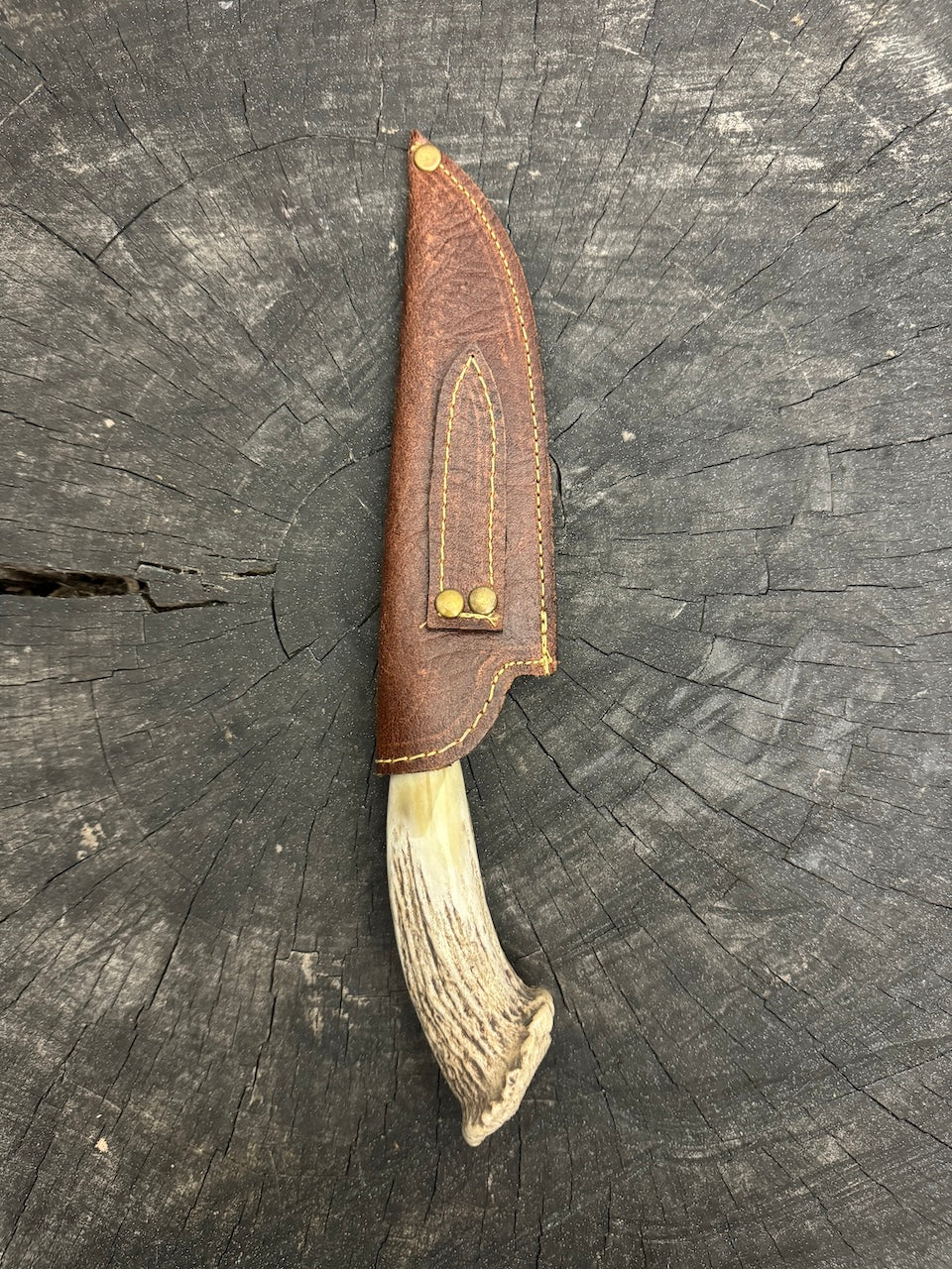 6" Damascus Knife, Deer Antler, CS1095 15n20