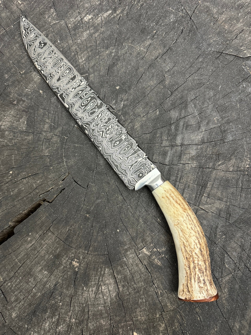 10" Damascus Knife, Deer Antler, CS1095 15n20