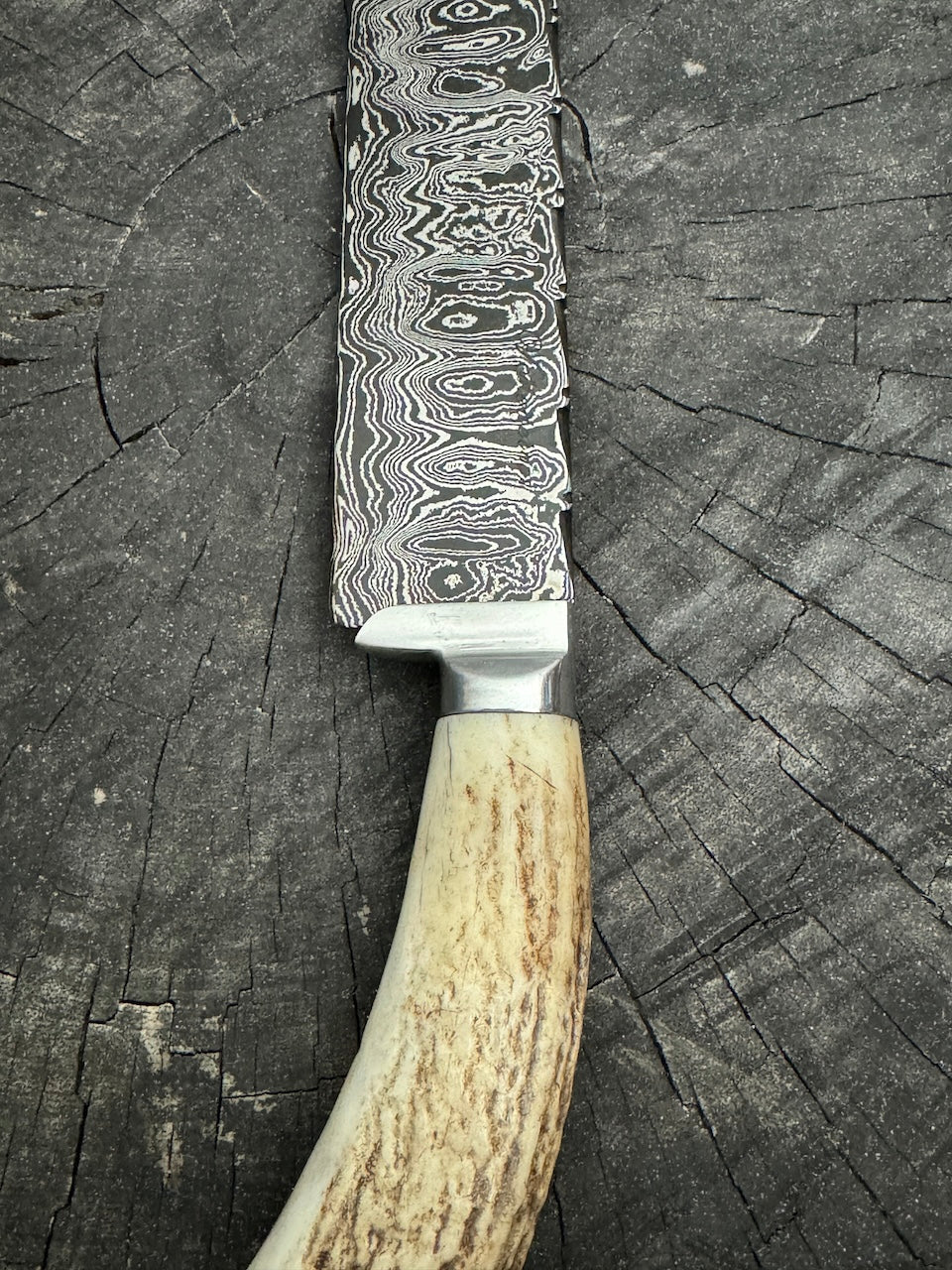 10" Damascus Knife, Deer Antler, CS1095 15n20