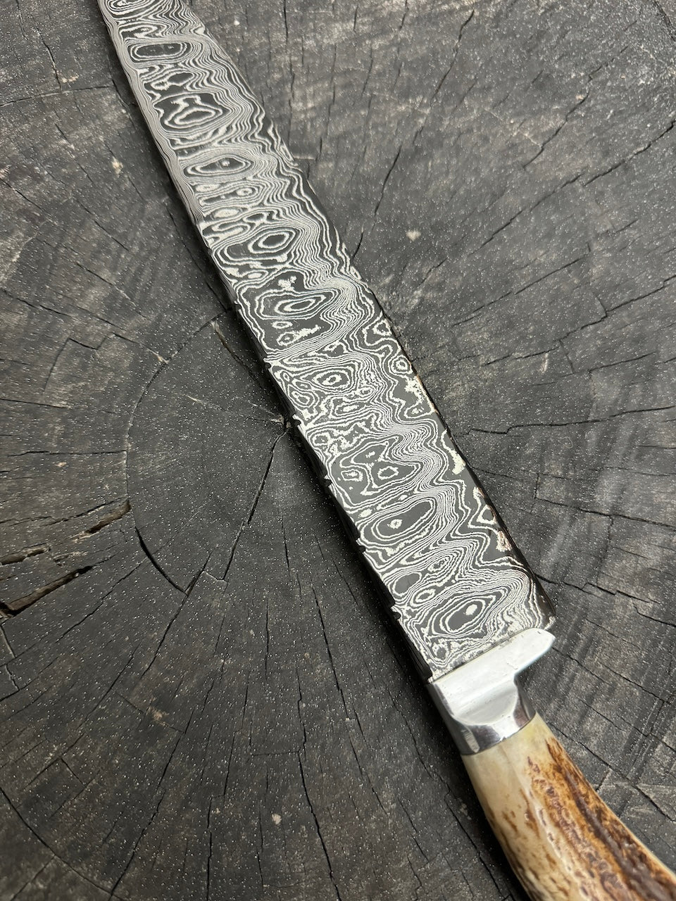 10" Damascus Knife, Deer Antler, CS1095 15n20