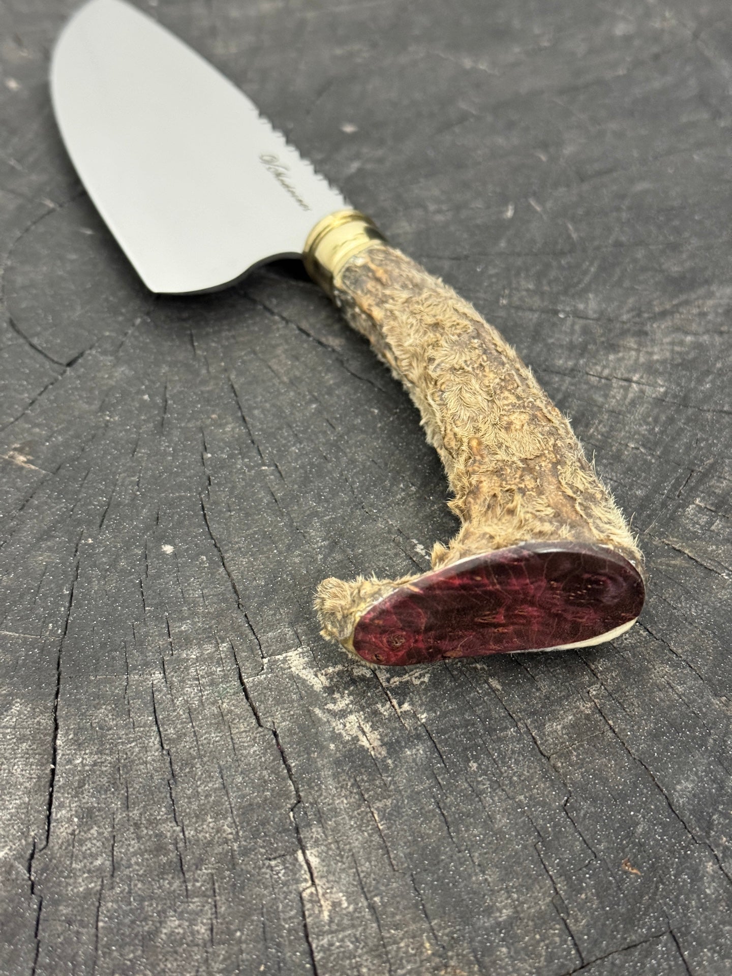 6" Picanha Knife, Deer Antler, SS440 - 150mm