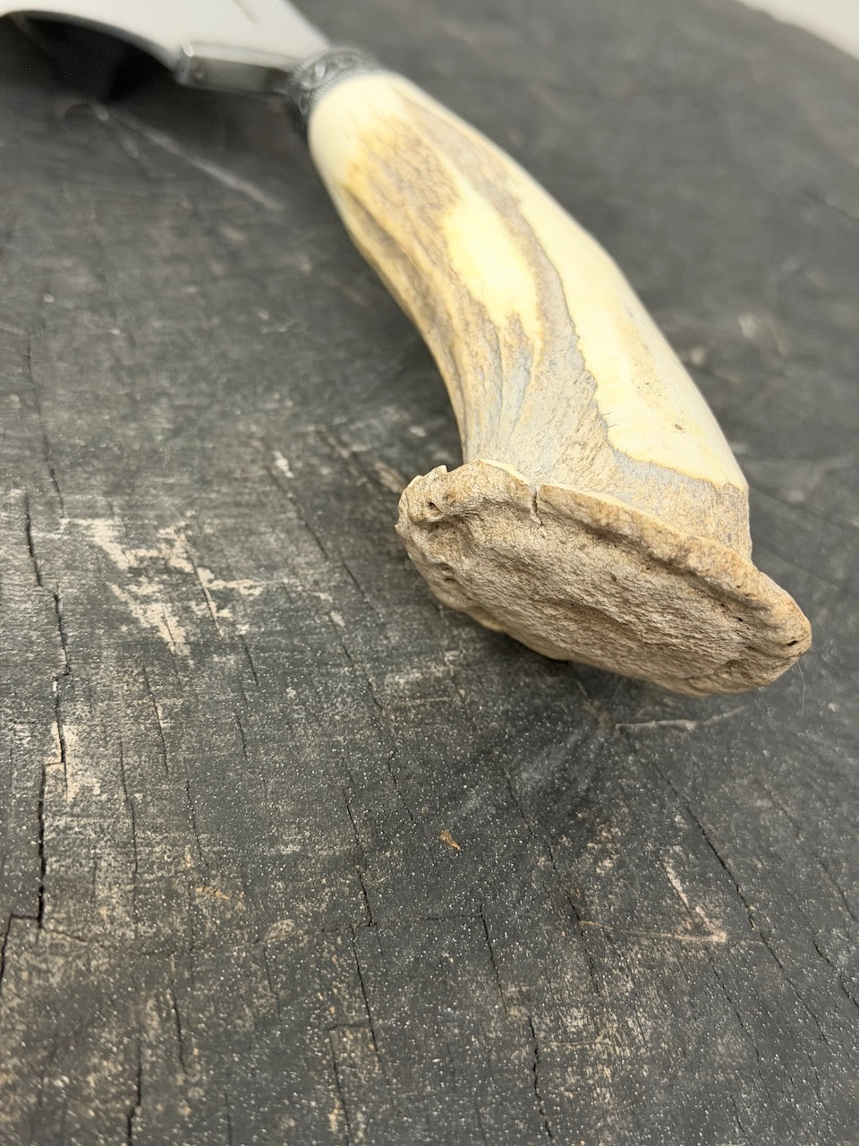 7" Cutelo Wild Cleaver, Deer Antler Roseta, SS440 - 180mm