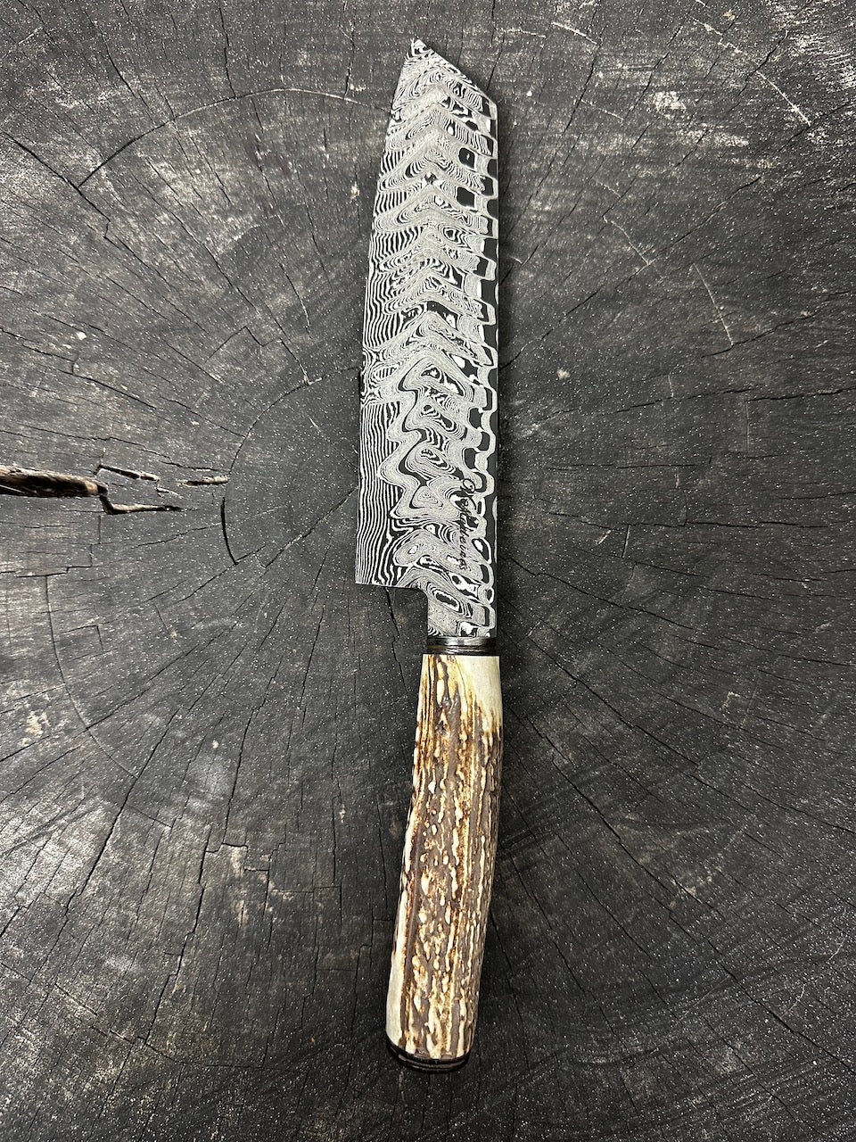 8" Damascus Knife, Deer Antler, CS1095 15n20