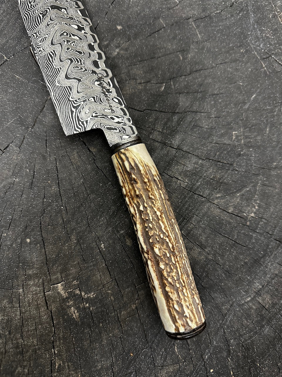 8" Damascus Knife, Deer Antler, CS1095 15n20