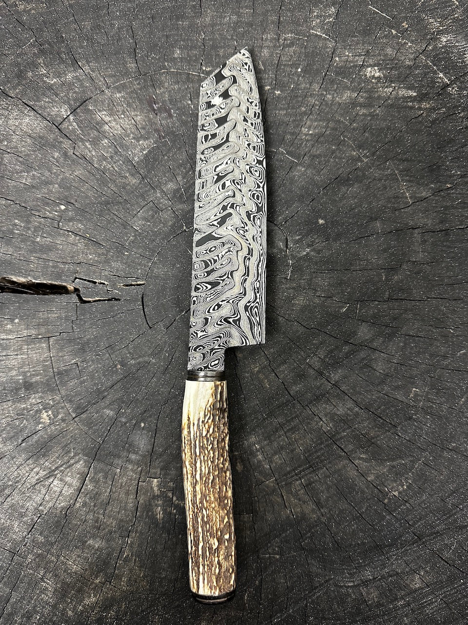 8" Damascus Knife, Deer Antler, CS1095 15n20