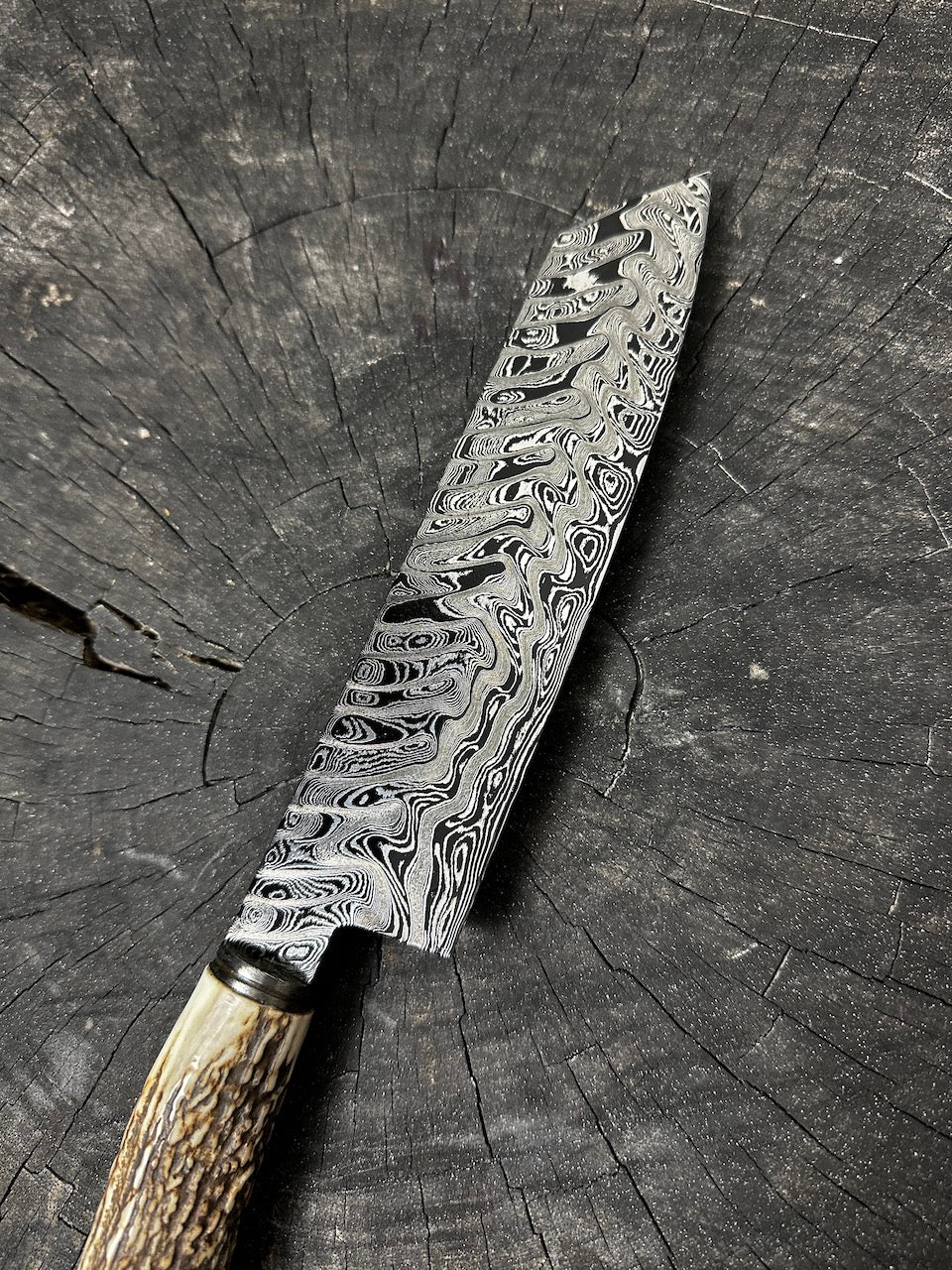 8" Damascus Knife, Deer Antler, CS1095 15n20