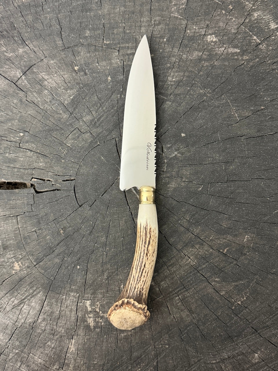 6" Utility Knife, Deer Antler Roseta, SS440 - 150mm