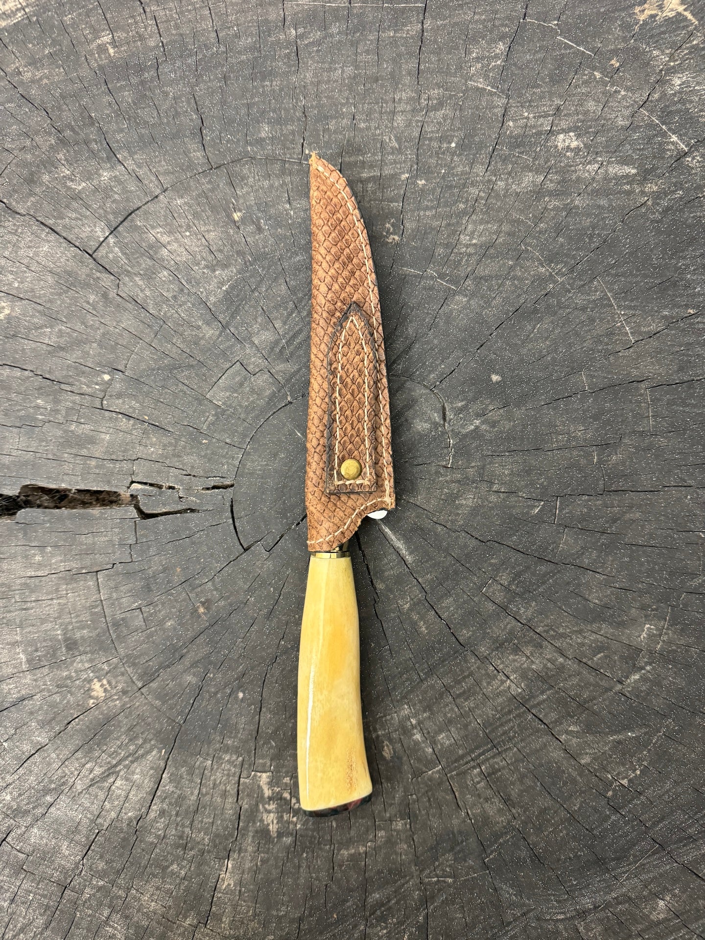 5" Boning Knife, Ostrich Bone, SS420 - 130mm