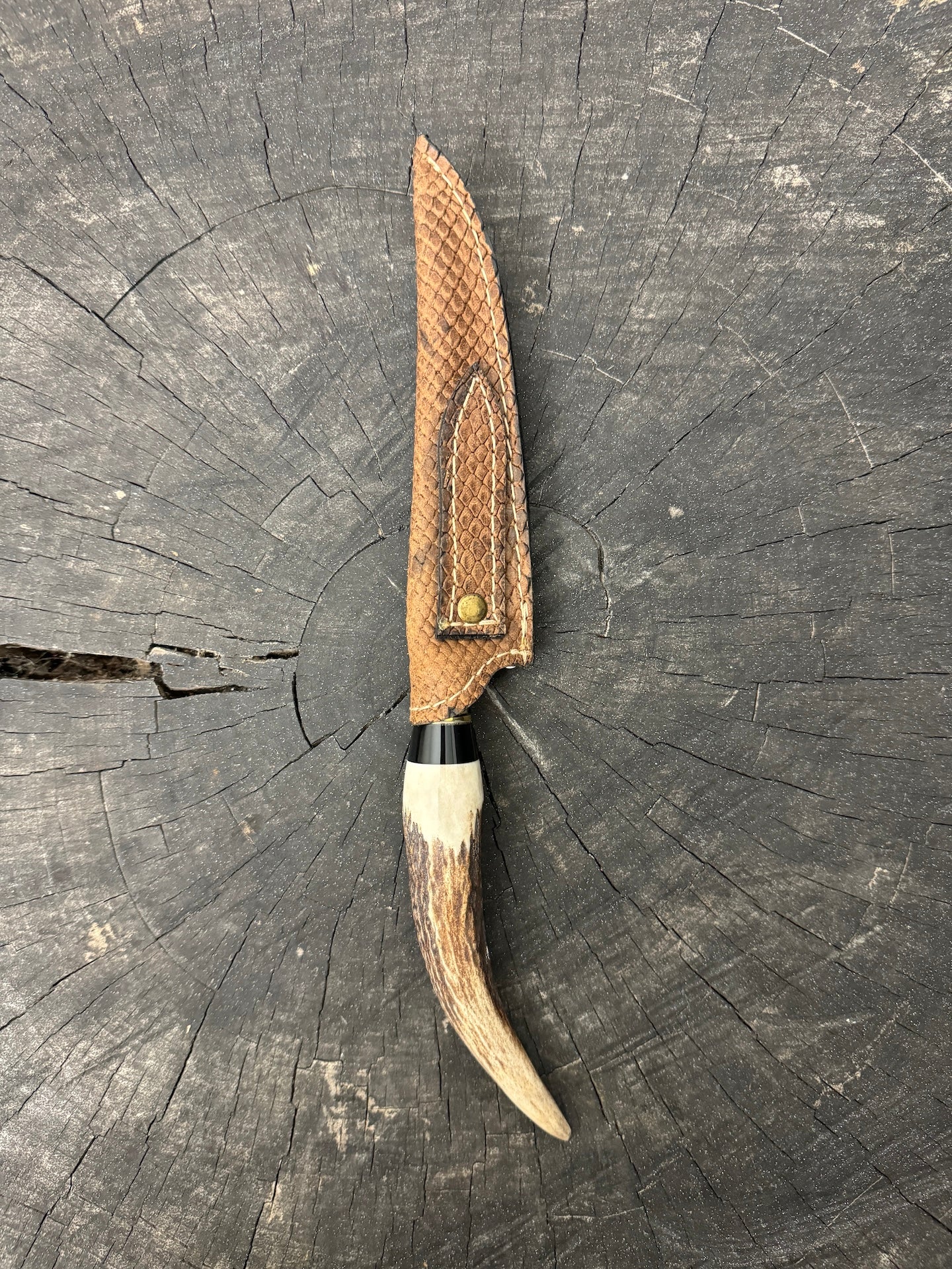 5" Boning Knife, Deer Antler, SS420 - 130mm