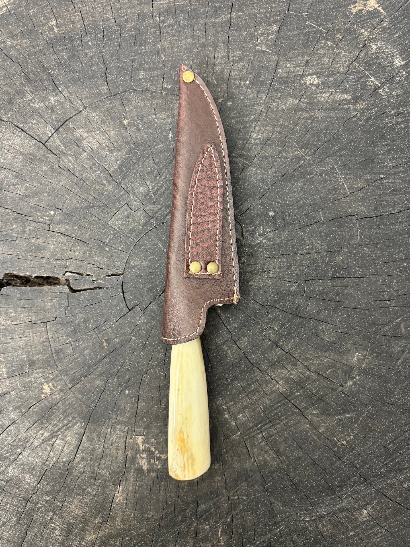 6" Utility Knife, Ostrich Bone SS440 - 150mm