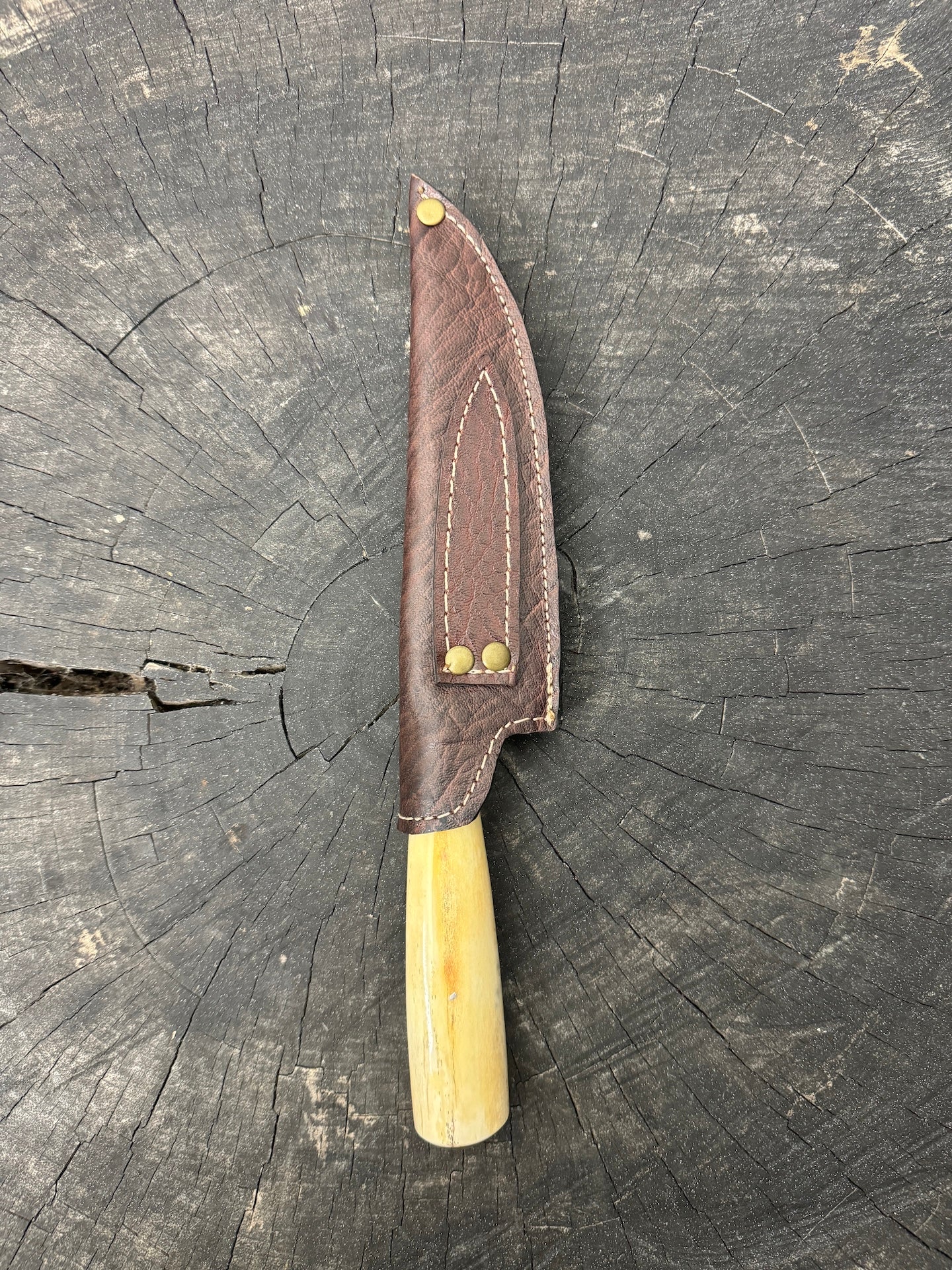 6" Utility Knife, Ostrich Bone SS440 - 150mm