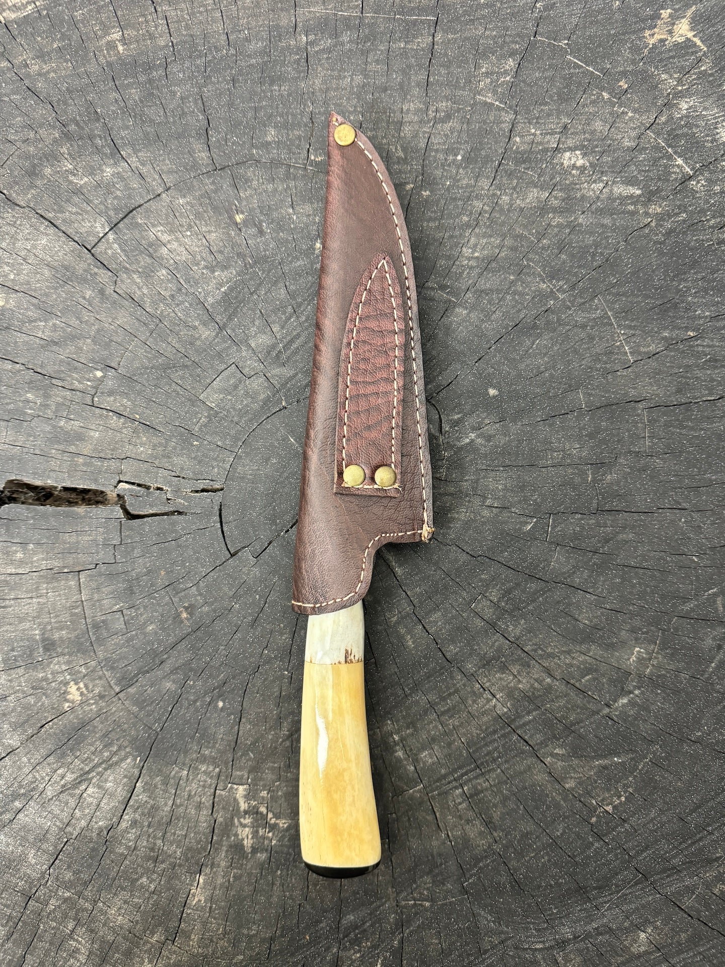 6" Utility Knife, Ostrich Bone & Deer Antler, SS440 - 150mm