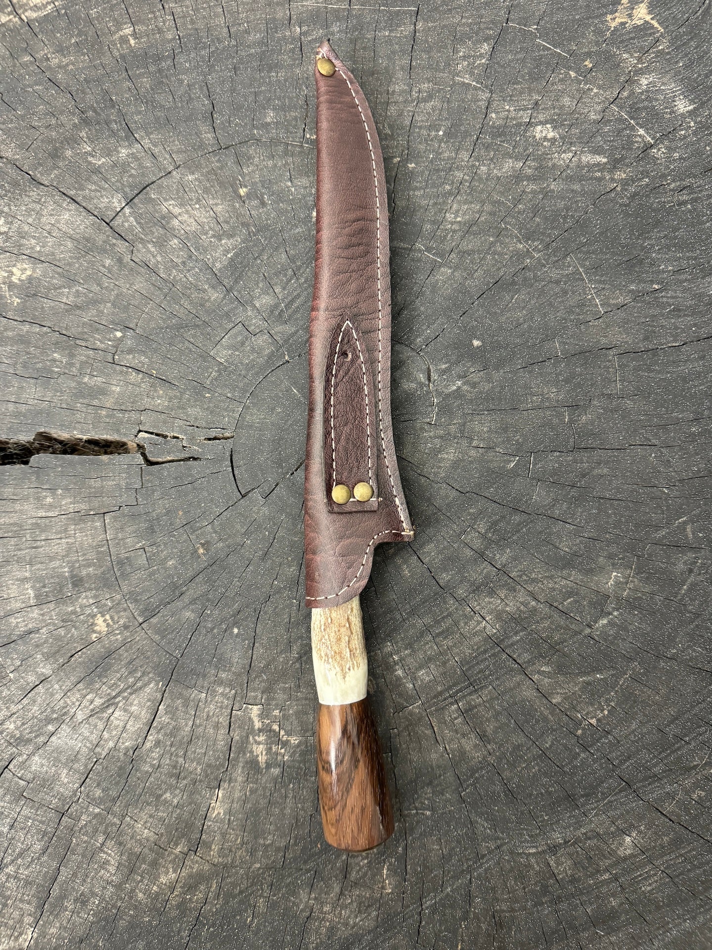8" Boning Knife, Deer Antler, SS420 - 200mm