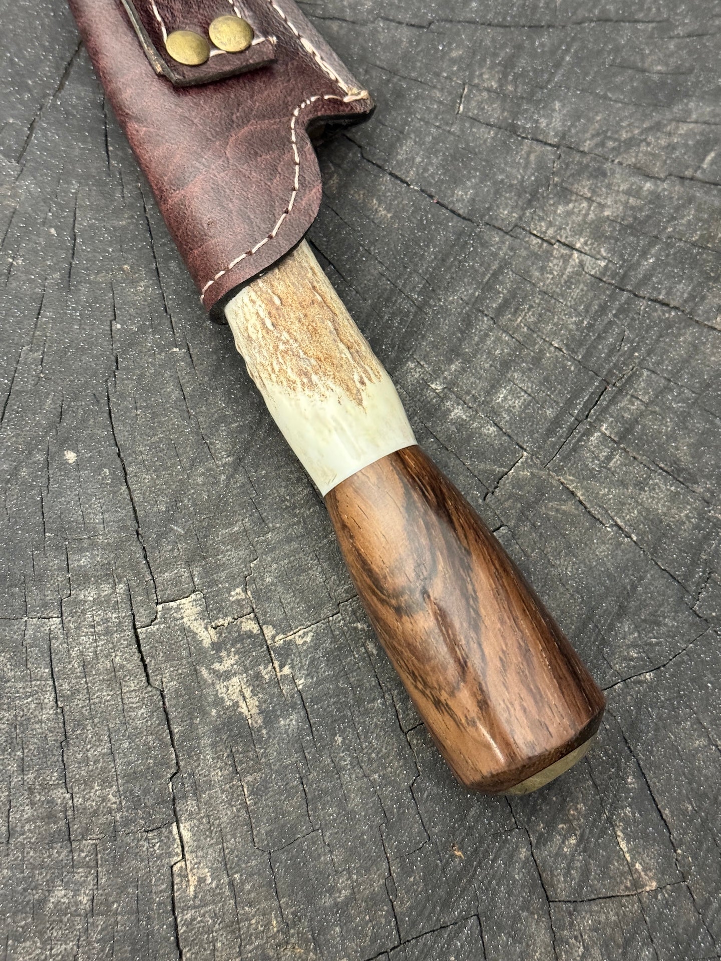 8" Boning Knife, Deer Antler, SS420 - 200mm