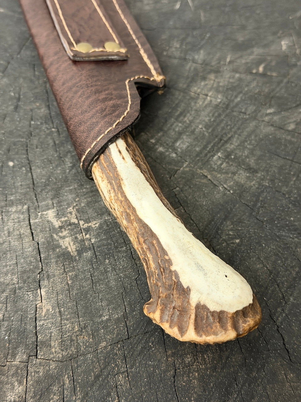 10" Chef Gaucho Knife, Deer Antler Roseta, SS440 - 250mm