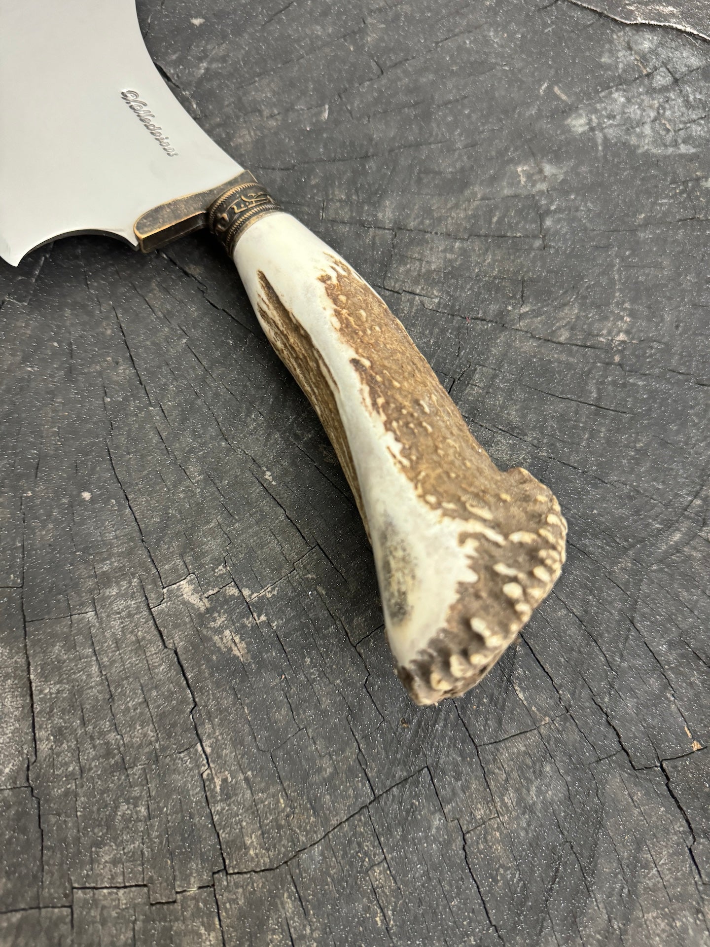 7" Cutelo Wild Cleaver, Deer Antler, SS440 - 180mm