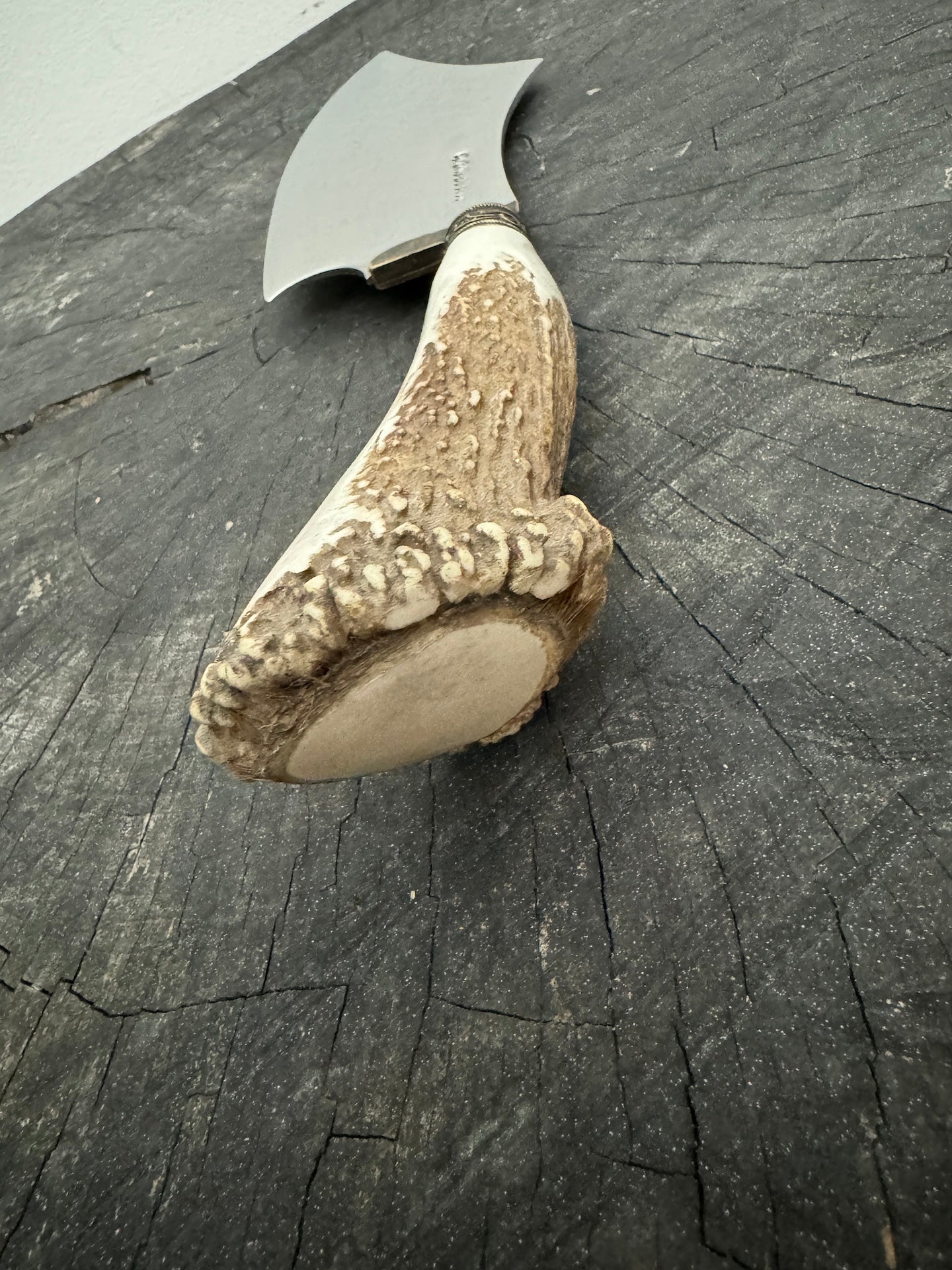 7" Cutelo Wild Cleaver, Deer Antler, SS440 - 180mm