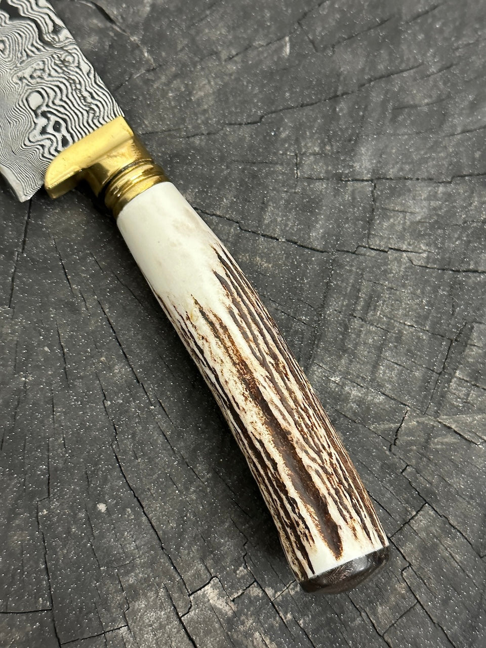 5" Damascus Bunka Knife, Deer Antler, CS1095 15n20