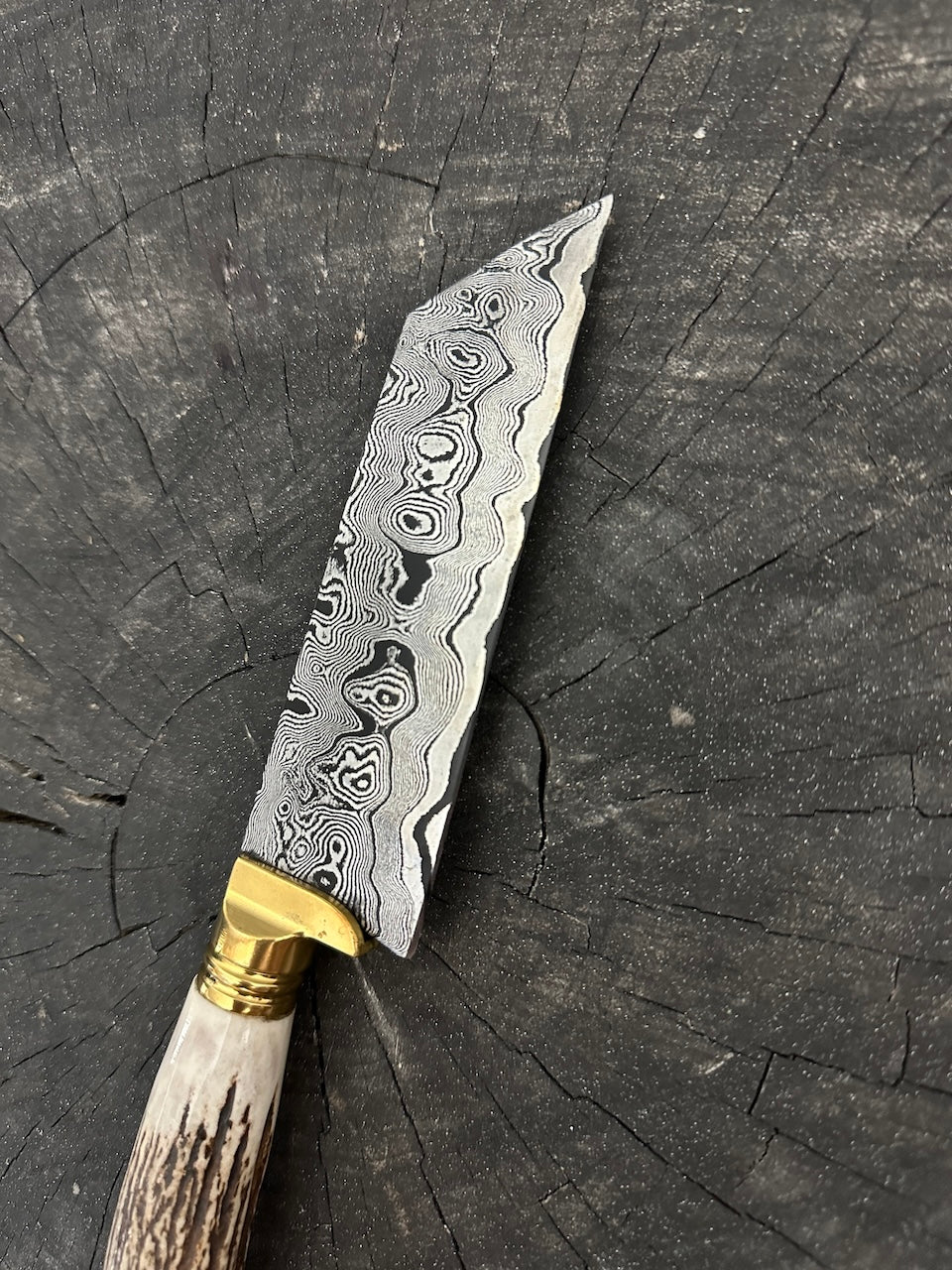 5" Damascus Bunka Knife, Deer Antler, CS1095 15n20