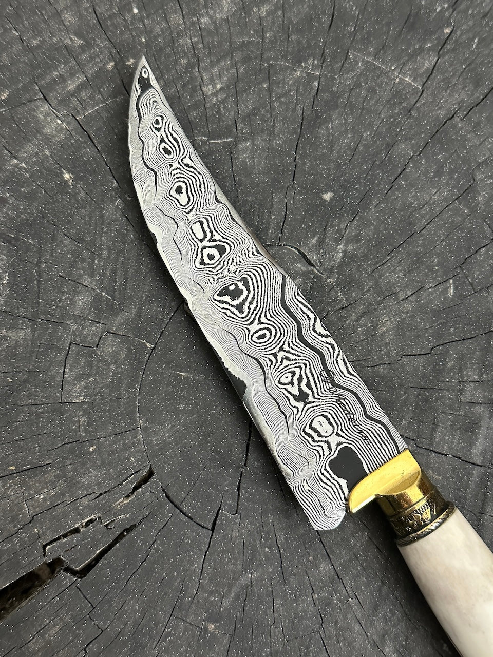 6.7" Damascus Knife, Deer Antler, CS1095 15n20