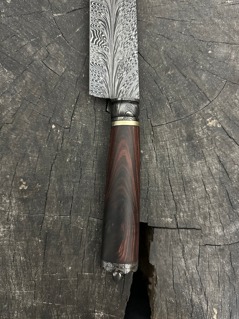 10.5" Neves Damascus Feather Knife 220 Layers CS1095 15n20