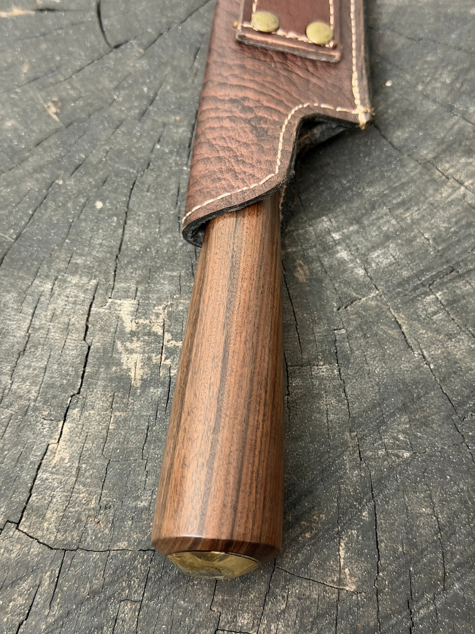 10" Chimango Knife, Native Ironwood, SS440 - 250mm