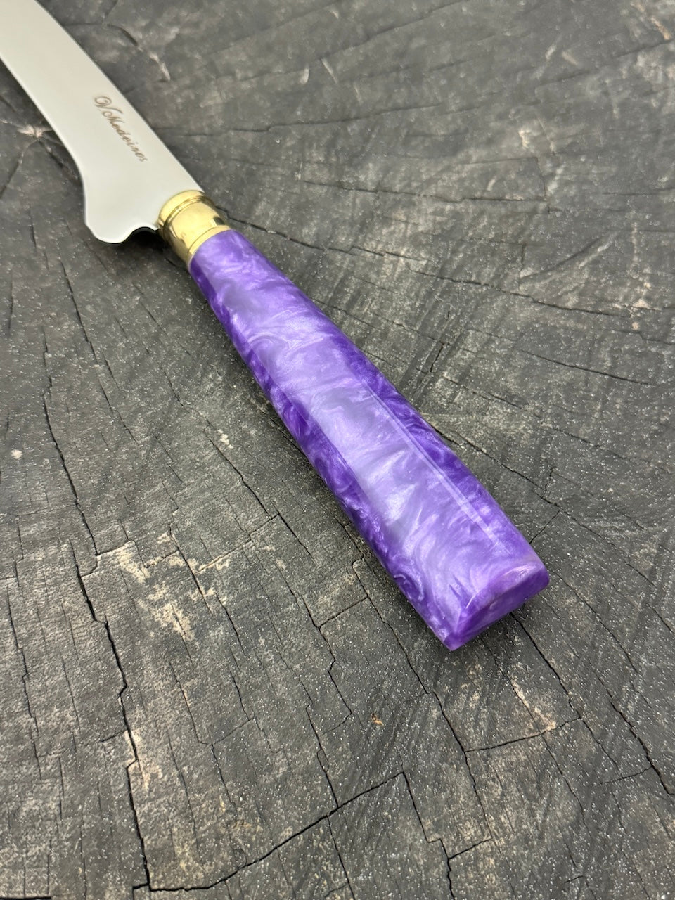 8" Boning Knife, Custom Block, SS420 - 200mm