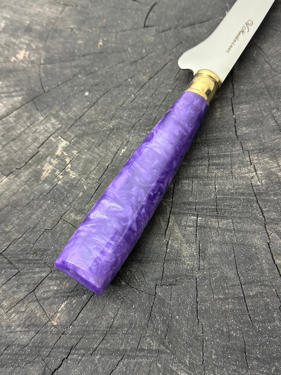 8" Boning Knife, Custom Block, SS420 - 200mm