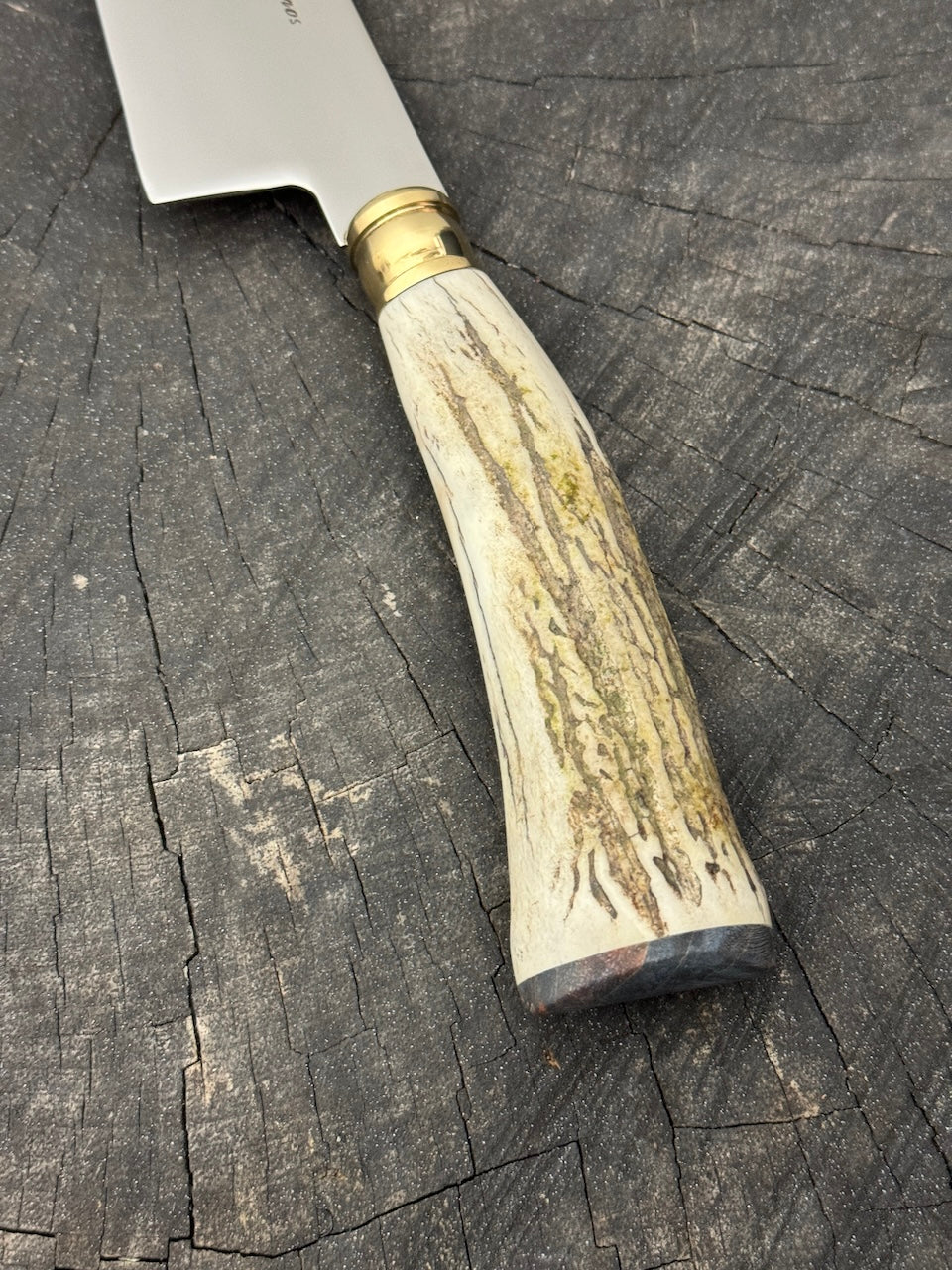 8" Branca Knife, Deer Antler, SS440 - 210mm