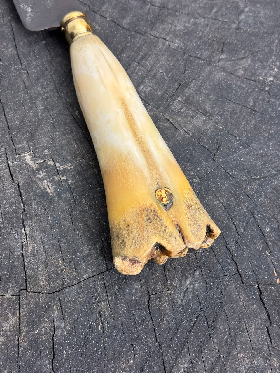 10" Chimango Full Tang Knife, Ox Bone, HCS1070 - 250mm