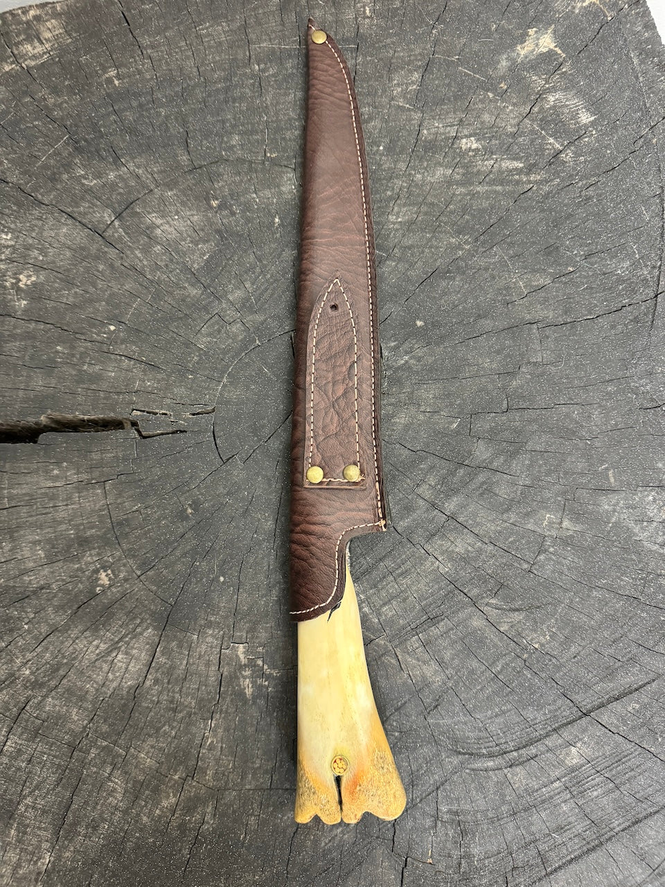 10" Chimango Full Tang Knife, Ox Bone, HCS1070 - 250mm